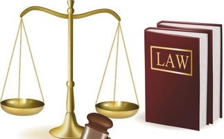 专业法律咨询与法律服务 您身边的法律保护伞